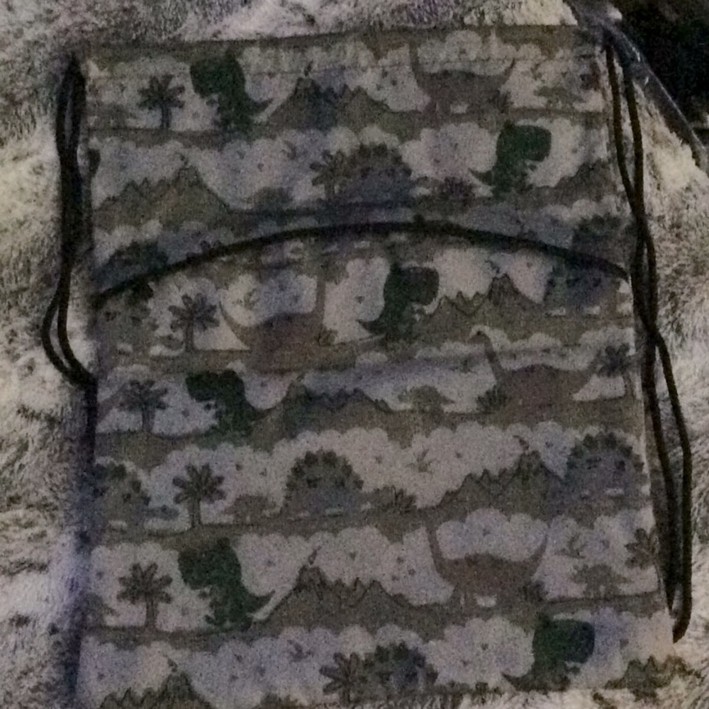 Cinch sac